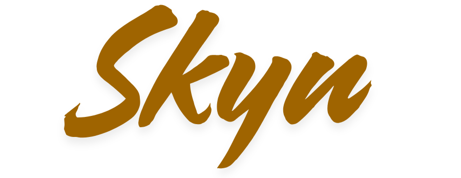 Skyn.in.net